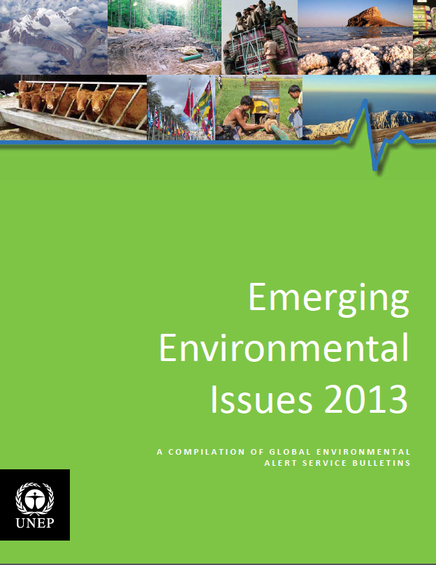 Emerging Environmental Issues 2013