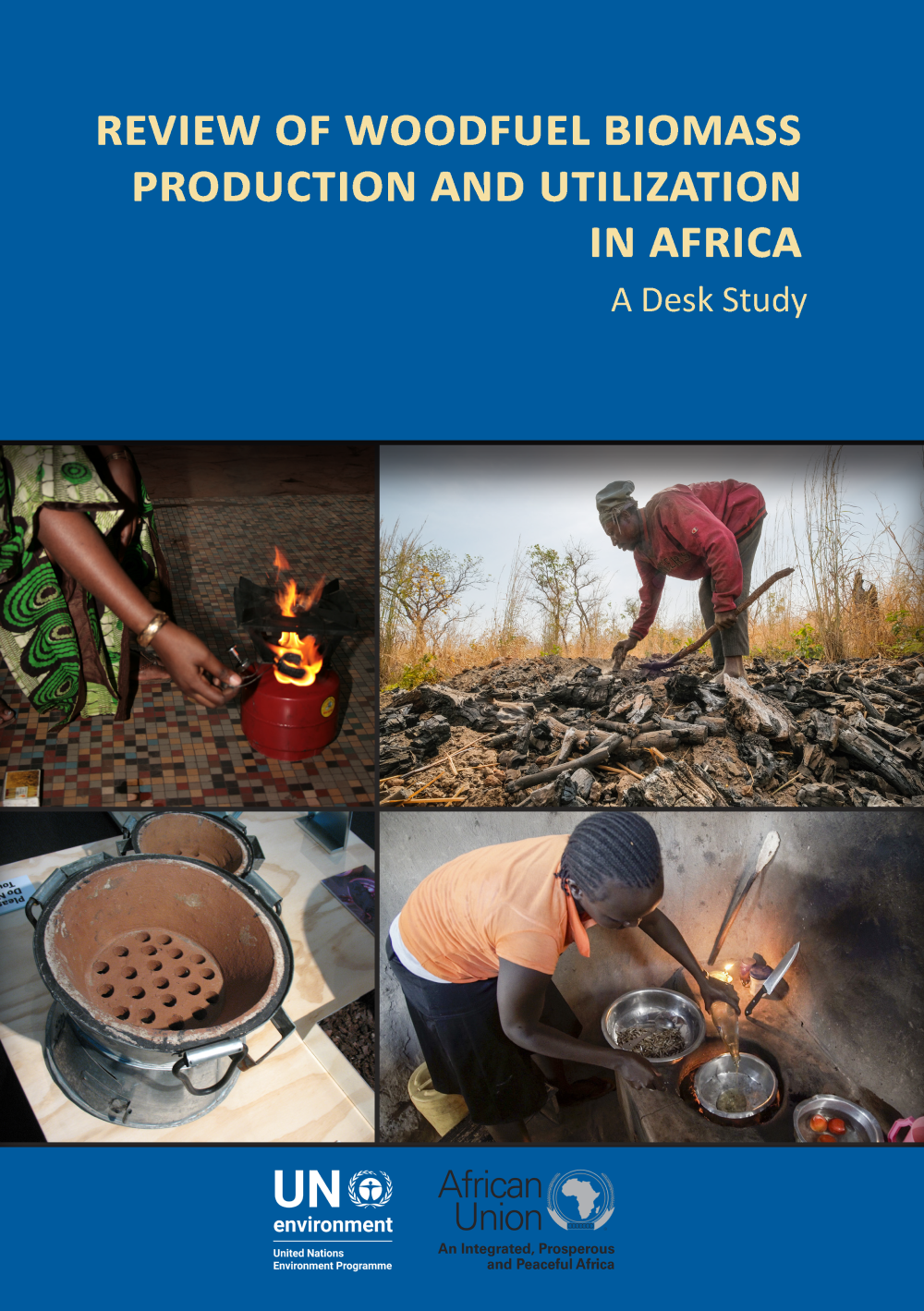 Review of Woodfuel Biomass Production and Utilization in Africa