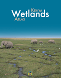 Kenya Wetlands